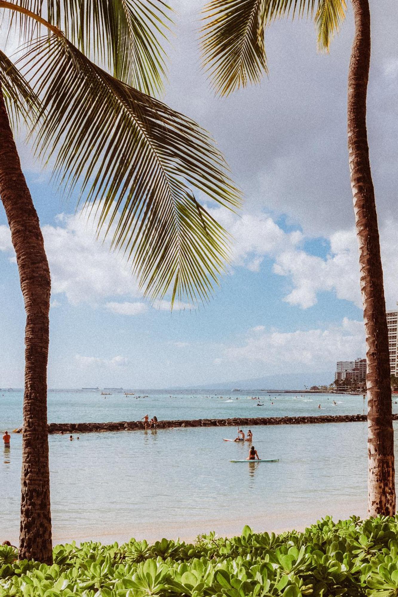 Royal Grove Waikiki Honolulu Exterior foto