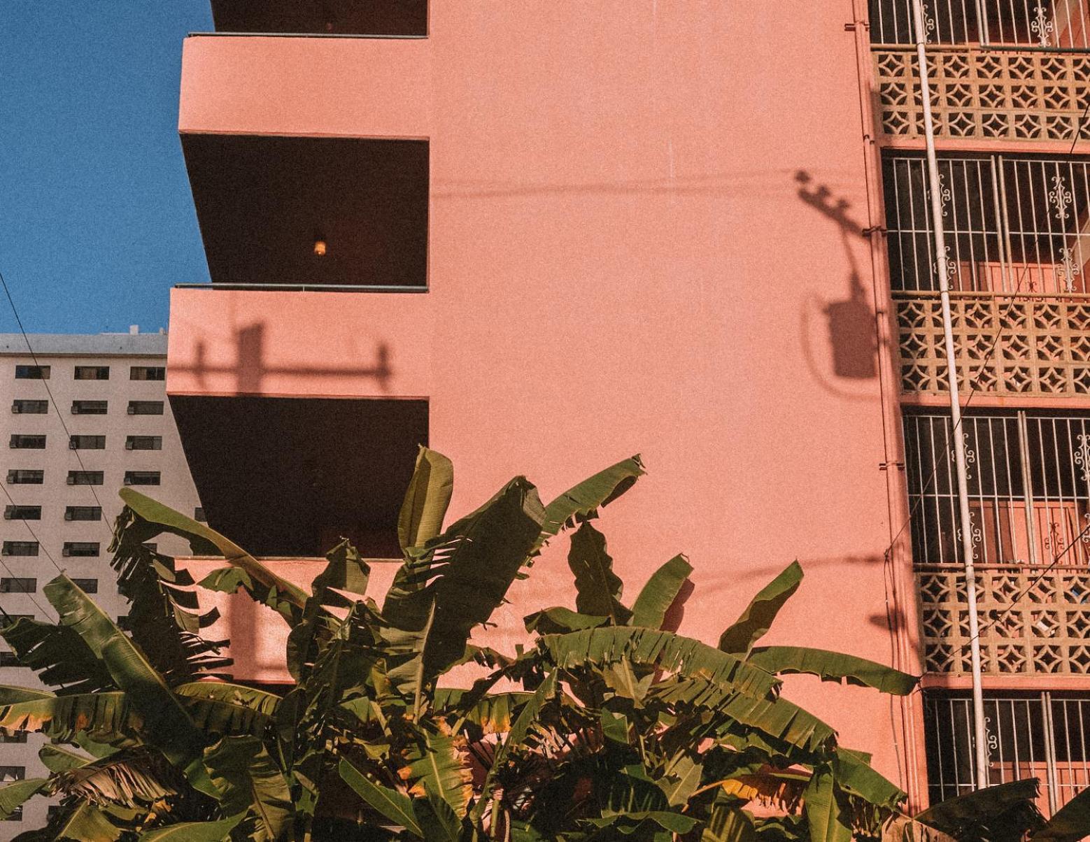 Royal Grove Waikiki Honolulu Exterior foto